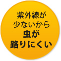 紫外線が少ないから虫が路りにくい
